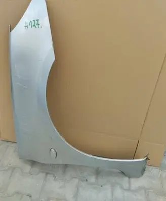 Peugeot 307 Fender BLOTNIK307PRAWY