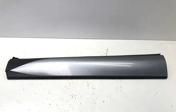 BYD Atto 3 Front door trim (molding) SC2E5402831