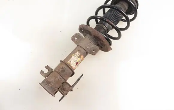 Fiat Bravo Front shock absorber with coil spring 50710778