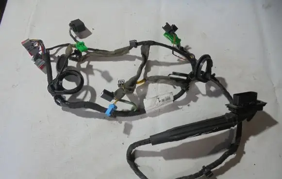 Front door wiring loom