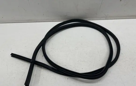 Nissan Leaf II (ZE1) Front door rubber seal