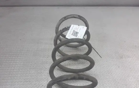 KIA Carnival Front coil spring