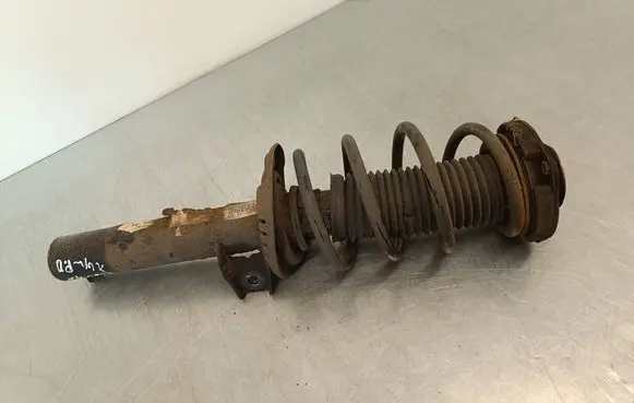 Volkswagen Tiguan Front shock absorber with coil spring 