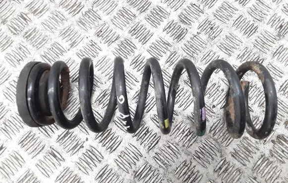 Hyundai Sonata Rear coil spring