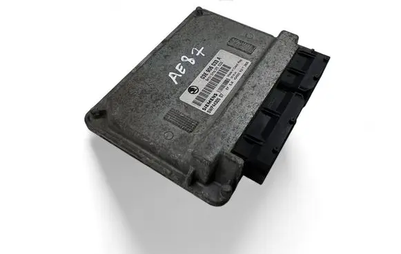 Engine control unit/module ECU