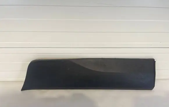 Ford Ecosport Rear door trim (molding) CN15-N254A77-BAW