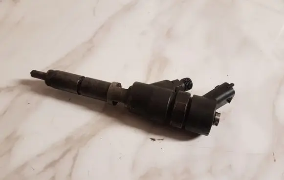 Citroen Xsara Picasso Fuel injector 0445110044