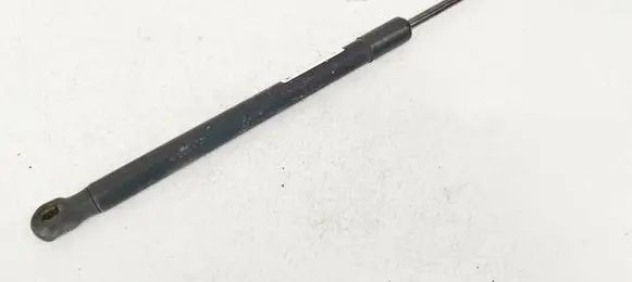 Tailgate/trunk strut/damper