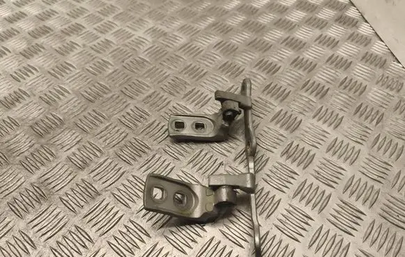 Opel Signum Front door hinge set 