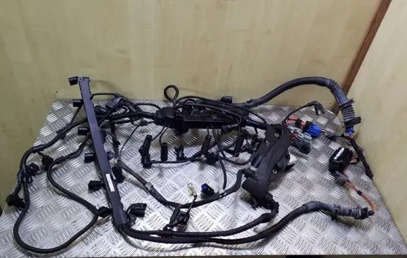 BMW X5 E70 Engine installation wiring loom 53781210 1251780226401 779966204