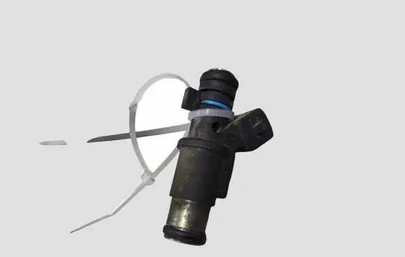 Citroen C3 Fuel injector 01F002A 24531