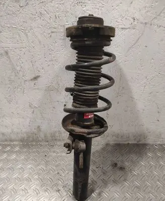 Volkswagen PASSAT B6 Front shock absorber with coil spring