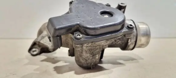 Throttle body valve