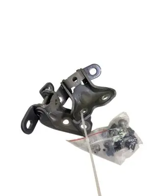 Hyundai Tucson IV NX4 Front door hinges set 