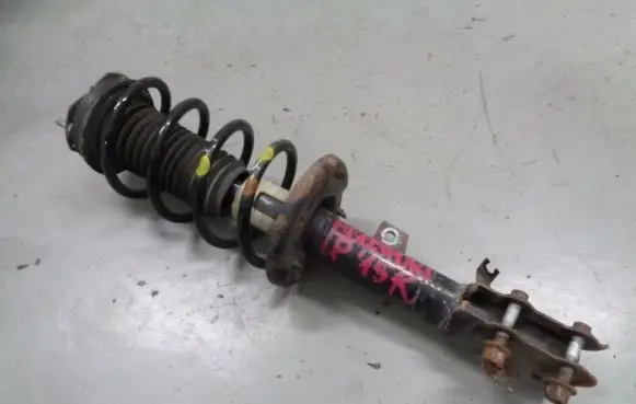 Ford Ecosport Front shock absorber with coil spring