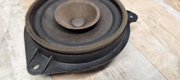 Rear door speaker