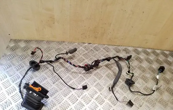Skoda Superb B6 (3T) Rear door wiring loom 3T0971162N