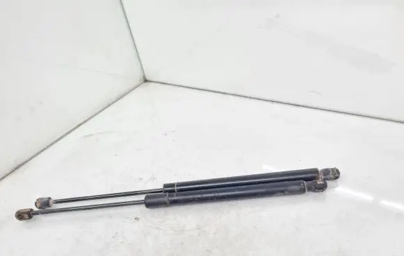Opel Zafira B Tailgate/trunk strut/damper 13128759