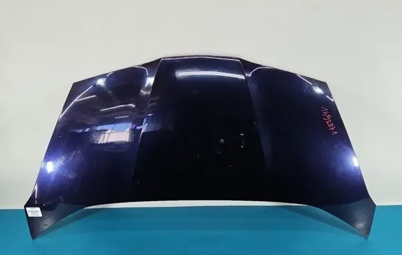 Engine bonnet/hood