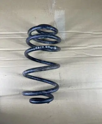 Opel Insignia A Rear coil spring