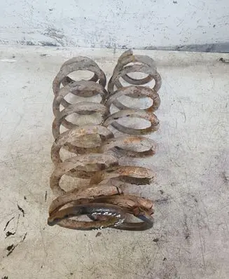 Toyota Corolla Verso AR10 Rear coil spring