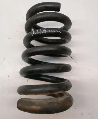 Front coil spring