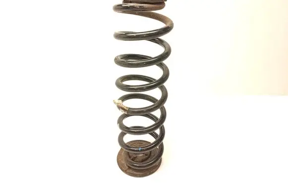KIA Niro Rear coil spring 55330A0200 5533030200 DWL22W