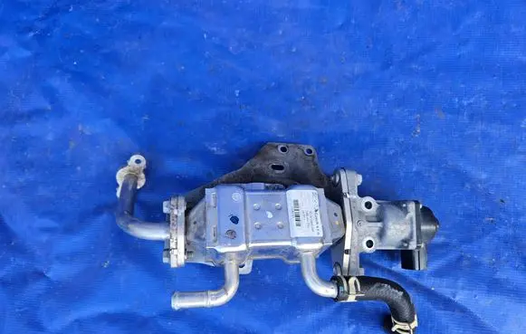 Suzuki SX4 S-Cross EGR valve 1871053SA0