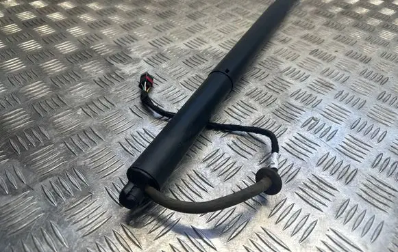 Tailgate/trunk strut/damper