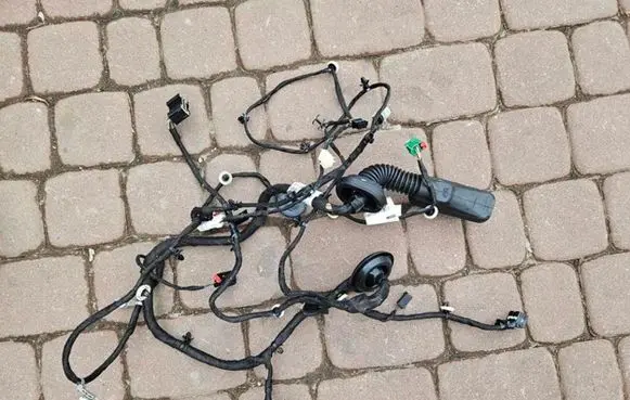 Front door wiring loom