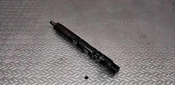 Ford Transit - Tourneo Connect Fuel injector EJBR02201Z 2T1Q9F593AA