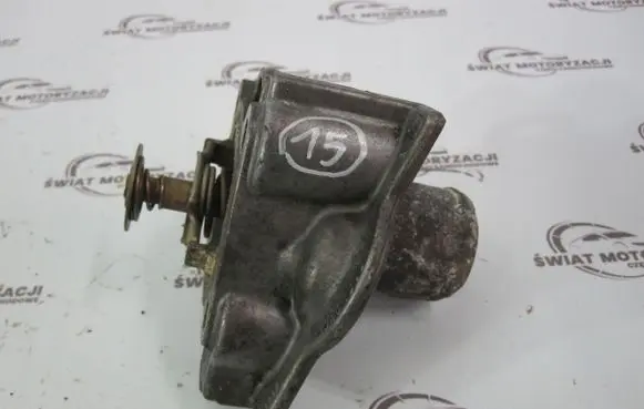 Thermostat/thermostat housing