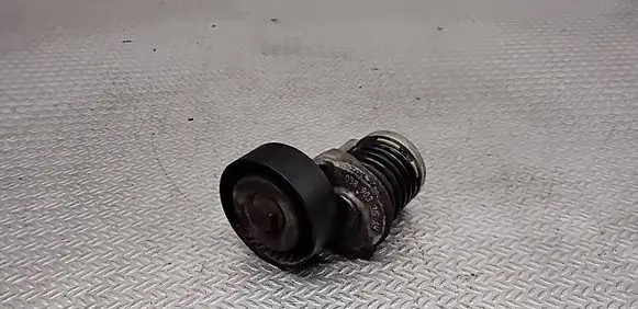 Volkswagen PASSAT B6 Alternator belt tensioner 038903315
