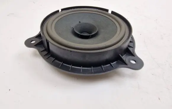 Nissan Qashqai Rear door speaker 