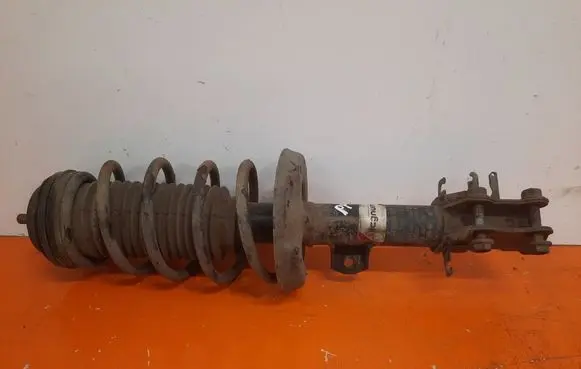 Fiat Punto (199) Front shock absorber/damper AGF089MT