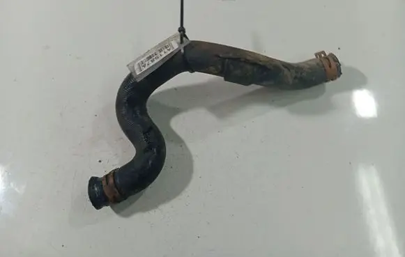 Renault Scenic I Engine coolant pipe/hose