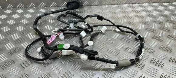Lexus ES VII XZ10 Rear door wiring loom 8215733010