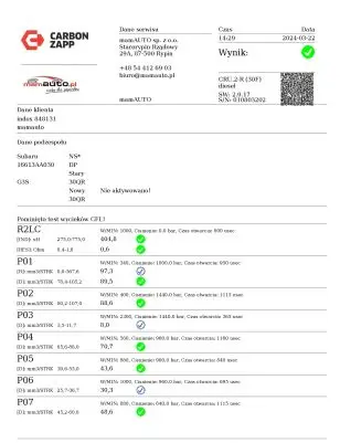 Subaru Forester SH Fuel injector 16613AA03