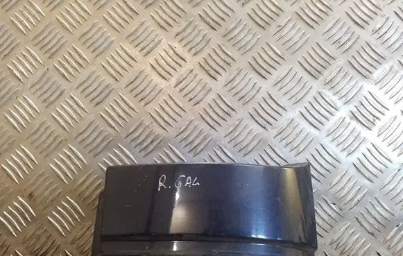 Rear/tail light trim molding