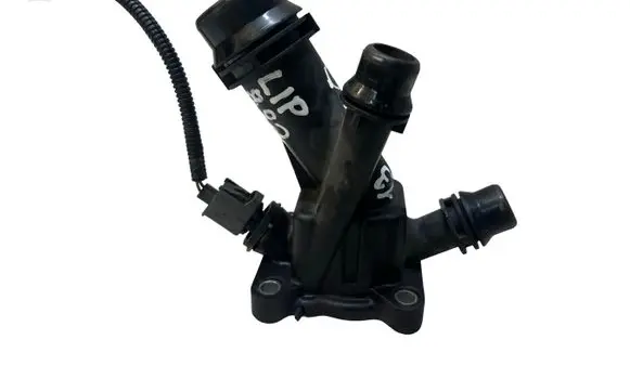 Thermostat/thermostat housing