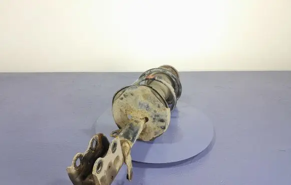 Toyota Prius (NHW20) Front shock absorber/damper