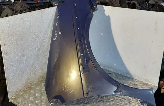 Renault Scenic RX Fender
