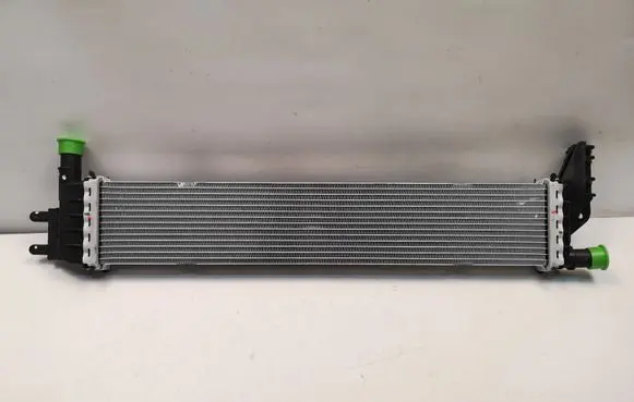 Dacia Duster Coolant radiator 214108831R