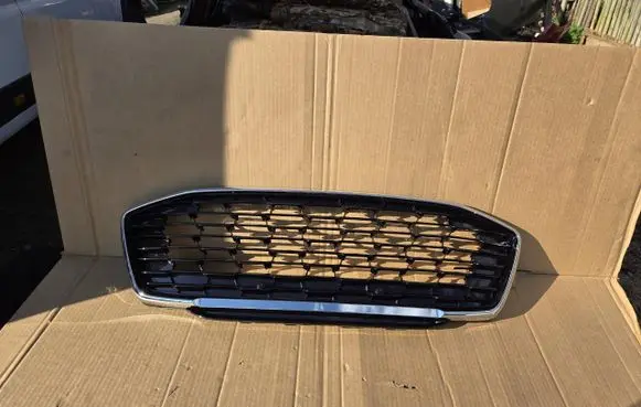 Ford Puma Front bumper upper radiator grill 2456978 L1TB8200AD
