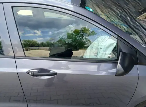 Hyundai i10 Front door