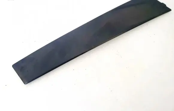 Other rear door trim element