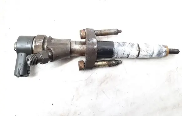 Renault Espace - Grand espace IV Fuel injector 8200084534 0445110084