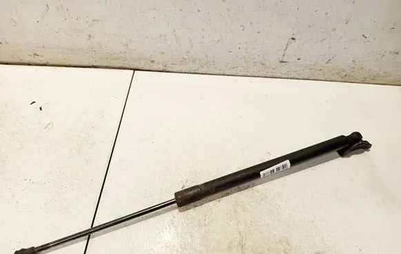 Tailgate/trunk strut/damper