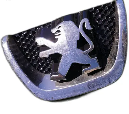 Peugeot 5008 Radiator trim 