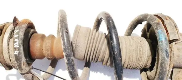 Front coil spring